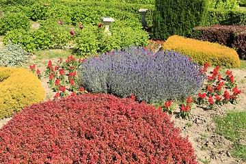 Image showing Ornamental garden.