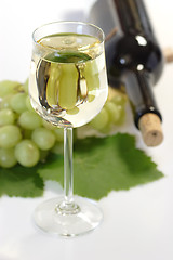 Image showing Wine with Bottle