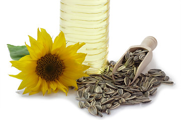 Image showing Sunflower Seeds with Blossom and Oil