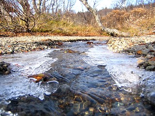 Image showing The creek freezes over