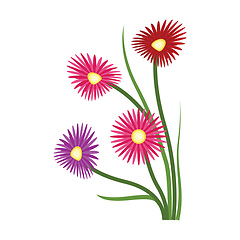 Image showing Vector illustration of orange purple and red aster flowers on wh