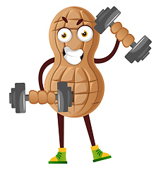 Image showing Peanut working with weights, illustration, vector on white backg