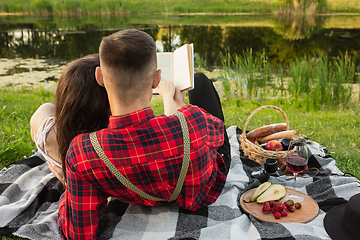 Image showing Caucasian young and happy couple enjoying a picnic in the park on summer day