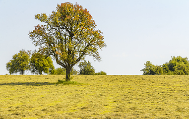 Image showing rural scenery in Hohenlohe