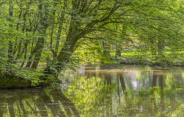 Image showing idyllic park scenery