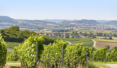 Image showing winegrowing scenery in Hohenlohe