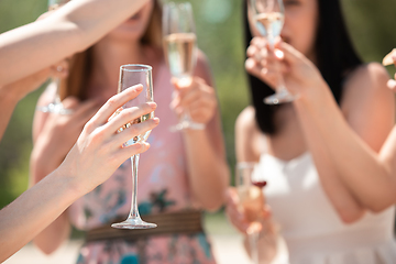 Image showing Seasonal feast at beach resort. Group of friends celebrating, resting, having fun on the beach in sunny summer day