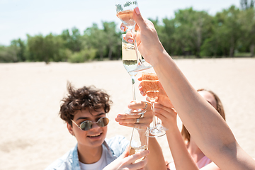 Image showing Seasonal feast at beach resort. Group of friends celebrating, resting, having fun on the beach in sunny summer day