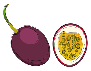 Image showing Clipart of passion fruit vector or color illustration