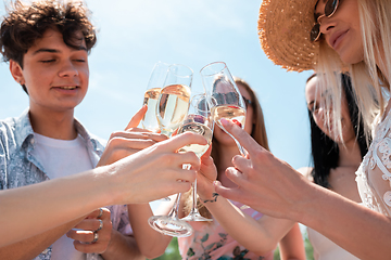 Image showing Seasonal feast at beach resort. Group of friends celebrating, resting, having fun on the beach in sunny summer day