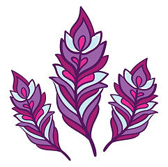 Image showing Bright purple feathers in various size vector or color illustrat