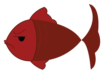 Image showing An angry fish with gills that allow them to breathe water vector