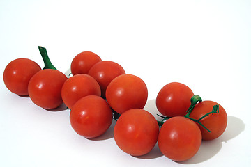 Image showing Bunch of tomatoes