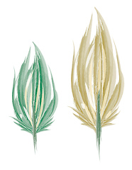 Image showing Leaf shape feather painting vector or color illustration