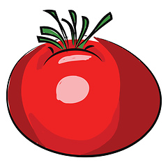 Image showing A red tomato, vector color illustration.