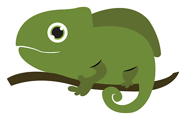 Image showing Chameleon on a tree vector or color illustration