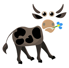 Image showing Portrait of a cow holding flower in its mouth vector or color il