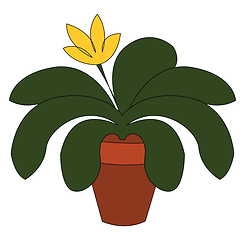 Image showing Plant in pot vector or color illustration