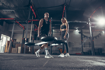 Image showing Beautiful young sporty couple training, workout in gym together