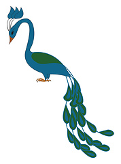 Image showing Blue and green peacock vector illustration on white background 