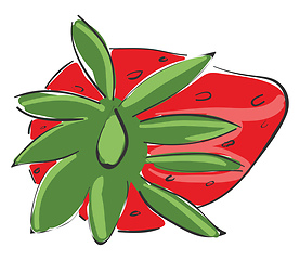 Image showing View of strawberry vector or color illustration
