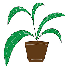 Image showing Palm plant with long green leaves in brown flower pot vector ill