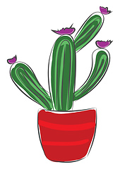 Image showing Cactus in a pot vector or color illustration