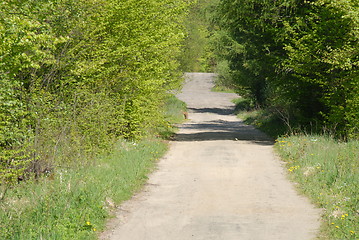 Image showing forest path