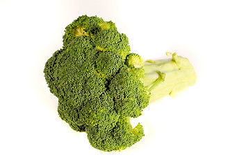 Image showing A Perfect Stalk of Broccoli