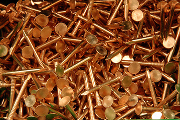 Image showing copper nails