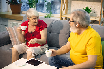 Image showing Couple of seniors spending time together being quarantined - caucasians mature and retired man and woman using modern gadgets, talking, drinking tea