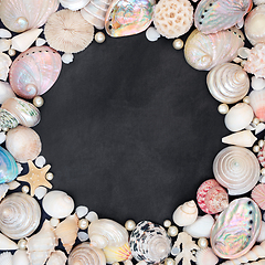 Image showing Beautiful Seashell and Pearl Background Border 