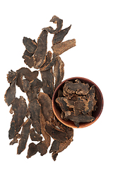 Image showing Scrophularia Figwort Root Chinese Herb