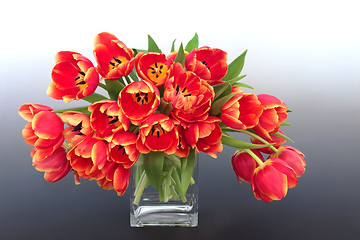 Image showing Red and Yellow Tulip Flower Spring Composition