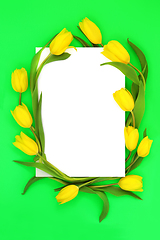 Image showing Yellow Spring Tulip Flower Abstract Background Border 