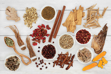 Image showing Herbal Medicine Collection to Boost Immune System