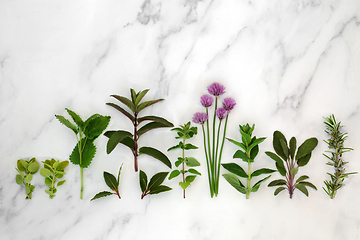 Image showing Fresh Kitchen Garden Cooking Herbs 