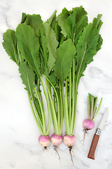 Image showing Healthy Turnips High in Fibre 