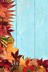 Image showing Abstract Natural Autumn Leaf Background Border