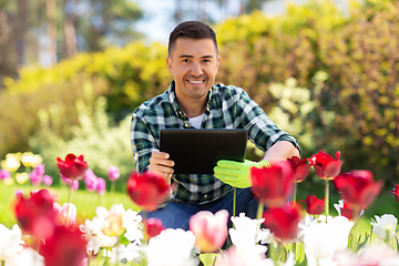Image showing man with tablet pc and flowers at summer garden