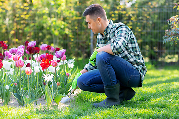 Image showing man with scoop taking care of flowers at garden