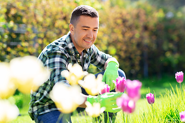 Image showing happy man taking care of flowers at garden