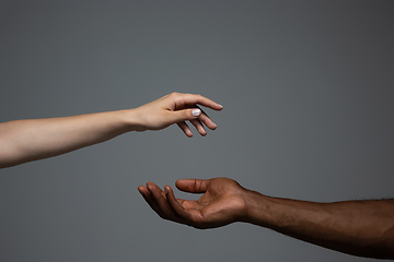 Image showing Racial tolerance. Respect social unity. African and caucasian hands gesturing isolated on gray studio background