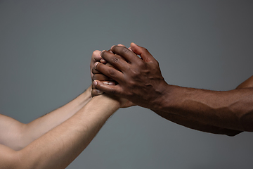 Image showing Racial tolerance. Respect social unity. African and caucasian hands gesturing isolated on gray studio background