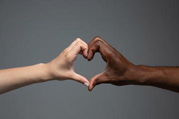 Image showing Racial tolerance. Respect social unity. African and caucasian hands gesturing isolated on gray studio background