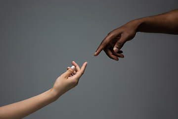 Image showing Racial tolerance. Respect social unity. African and caucasian hands gesturing isolated on gray studio background