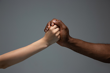 Image showing Racial tolerance. Respect social unity. African and caucasian hands gesturing isolated on gray studio background