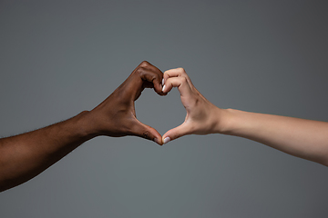 Image showing Racial tolerance. Respect social unity. African and caucasian hands gesturing isolated on gray studio background