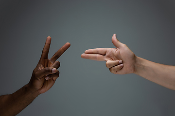 Image showing Racial tolerance. Respect social unity. African and caucasian hands gesturing isolated on gray studio background