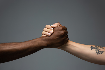 Image showing Racial tolerance. Respect social unity. African and caucasian hands gesturing isolated on gray studio background